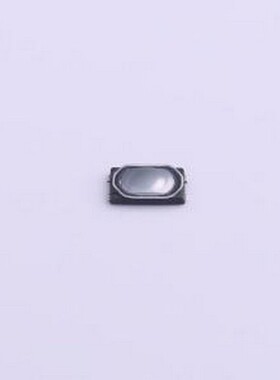 1TS028B-3000-0453-CT 轻触开关 2.8*1.9*0.45mm 立贴 轻触开关 S