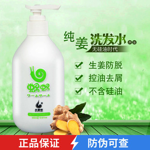 包邮 无硅油控油去屑蜗牛窝窝男女 蜗蜗生姜洗发水防脱生发套装 正品