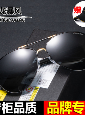 暴款龙暴风偏光太阳镜男士司机开车专用眼镜墨镜潮日夜两用变色镜