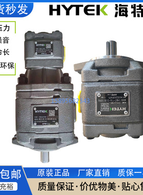 海特克内啮合齿轮泵油泵HG0-08/10/20/16HG1-25/40/50/63-01R-VPC