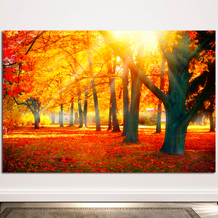 红枫树黄金满地红枫叶风景挂画树木森林欧美田园风光客厅装饰贴画