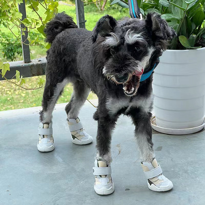 HCPET华创狗鞋子中小型犬
