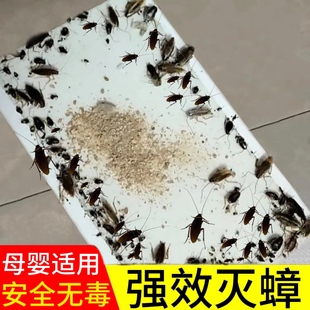 蟑螂屋强力贴粘板蟑螂药家用无毒一窝端全魔盒捕捉灭消杀除蟑螂夹