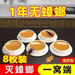 蟑螂屋贴粘板药家用无毒捕捉神器端强力绝杀灭除小强扫净一窝全窝