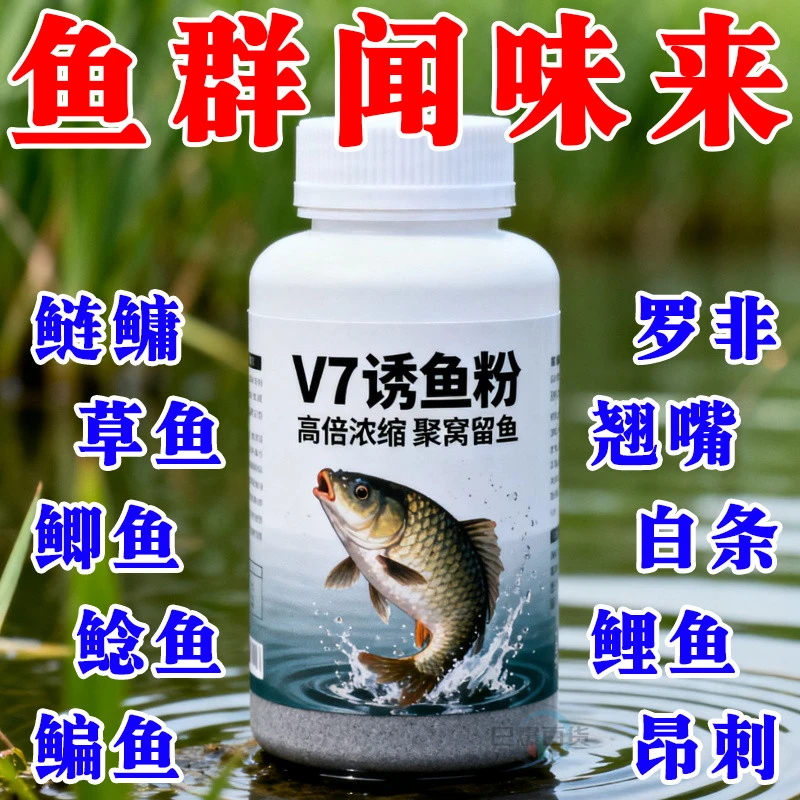 鲫鱼大叔同款v7开口果酸诱鱼粉浓度钓鱼小药黑坑添加剂鲫鲤鱼饵料