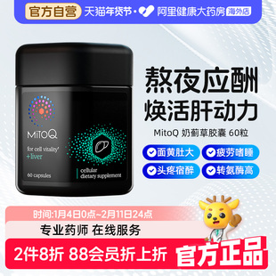 mitoq护肝片奶蓟草胶囊水飞蓟护肝男士熬夜醒酒脂肪60粒官方正品