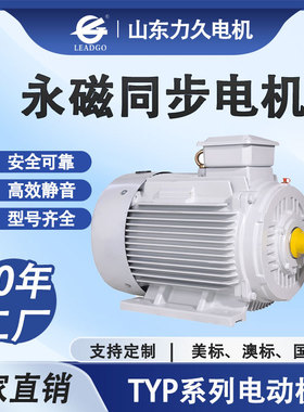 TYP永磁变频同步电动机无极6/8/12极调速减速电机控制精度高