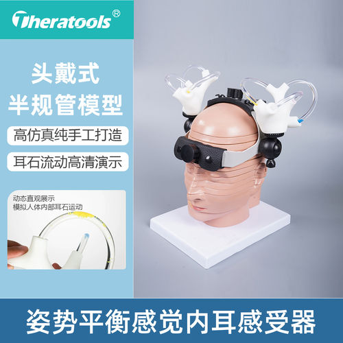 头戴式半规管耳石活动展示模型