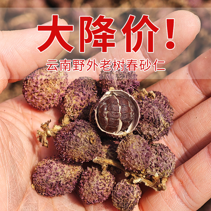 云南高原春砂仁干果500克头茬新货无熏硫香味浓郁仿野春砂可磨粉