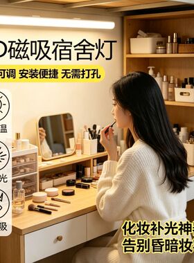 LED日光灯管插电式日光灯直插电式书桌家用学生宿舍节能灯管
