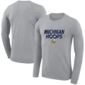 Michigan Hoops Quick-Drying Long Sleeves Gray