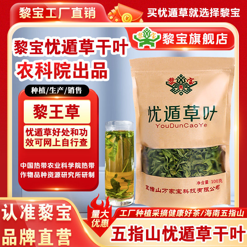 正宗原产地海南五指山忧遁草图片