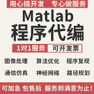 matlab代码帮做代编程彷真通信图像处理深度学习神经网络程序代编
