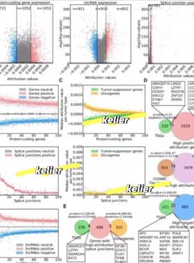 生物信息数据NCBI上传下载分析生信TCGA GEO