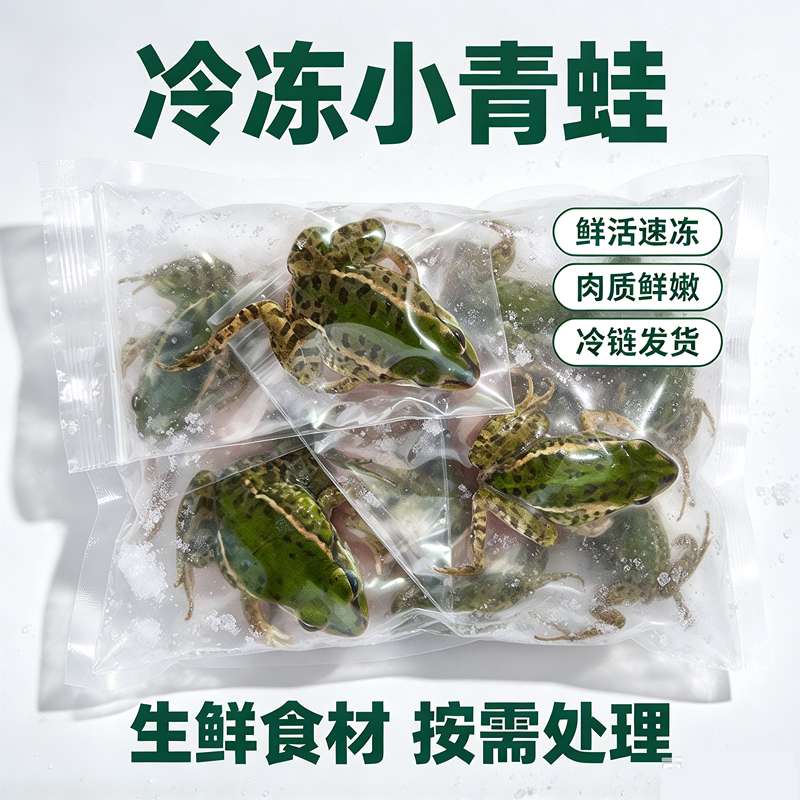 稻田蛙小青蛙龙鱼饲料活饵料