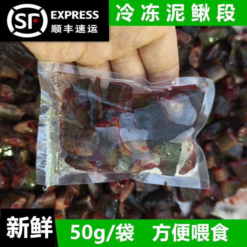 （顺丰包邮）新鲜淡水冷冻泥鳅段