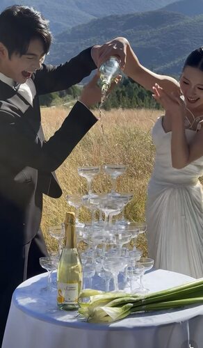 小红书流行摄影道具酒杯亚克力塑料高脚杯婚礼开业香槟塔婚庆道具
