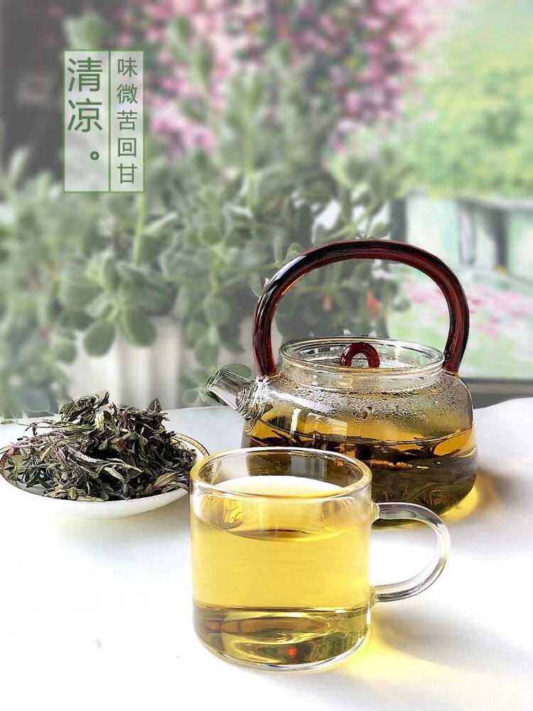 云南特产建水野生小山茶凉茶清凉回甘润喉清火解热毒新茶自然晾晒