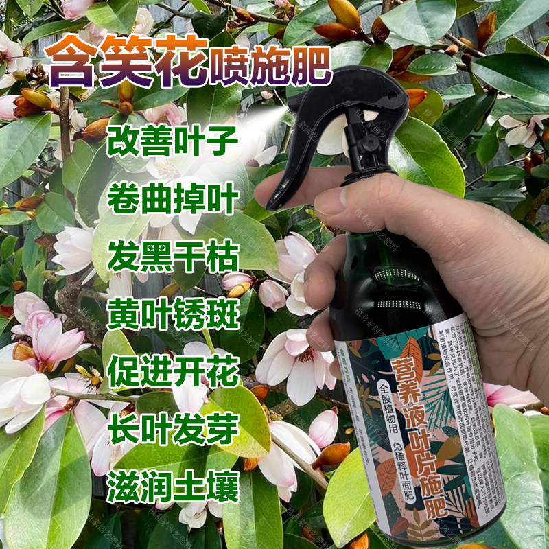 含笑花专用肥料养殖盆景含笑花树苗土壤营养液开花香生长叶面肥料,鲜花速递/花卉仿真/绿植园艺,家庭园艺肥料,淘宝优惠券,粉丝福利购,淘宝优惠卷