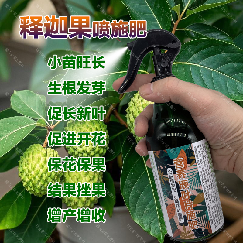 释迦果树专用肥料盆栽小苗旺长生根促发新芽长新叶营养液叶面肥料