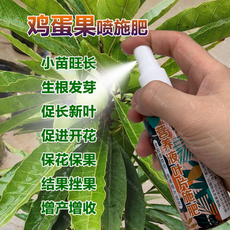 鸡蛋果专用肥料盆栽种植果树苗营养液叶面肥有机肥土壤水溶化肥料,鲜花速递/花卉仿真/绿植园艺,家庭园艺肥料,淘宝优惠券,粉丝福利购,淘宝优惠卷