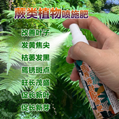 蕨类专用肥料吉姆蕨蕨类营养液叶子发黄焦尖枯萎黑蔫锈斑点水肥料