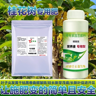 桂花树专用肥料地栽盆栽盆景营养液茂盛发新枝芽长叶开花叶面肥料