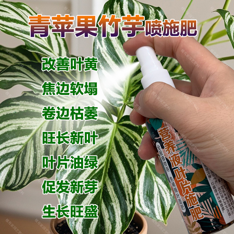 青苹果竹芋专用肥料养殖盆栽专用土培水培养护营养液喷剂叶面肥料,鲜花速递/花卉仿真/绿植园艺,家庭园艺肥料,淘宝优惠券,粉丝福利购,淘宝优惠卷