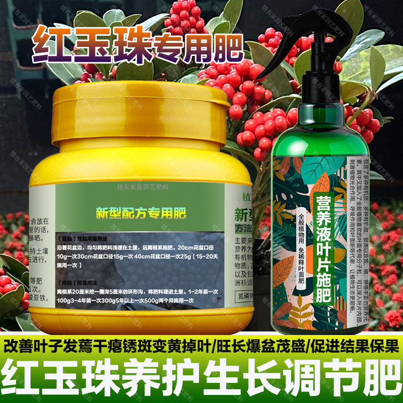红玉珠专用肥料花盆栽绿植物专用土壤营养液叶面肥喷剂水溶化肥料,鲜花速递/花卉仿真/绿植园艺,家庭园艺肥料,淘宝优惠券,粉丝福利购,淘宝优惠卷