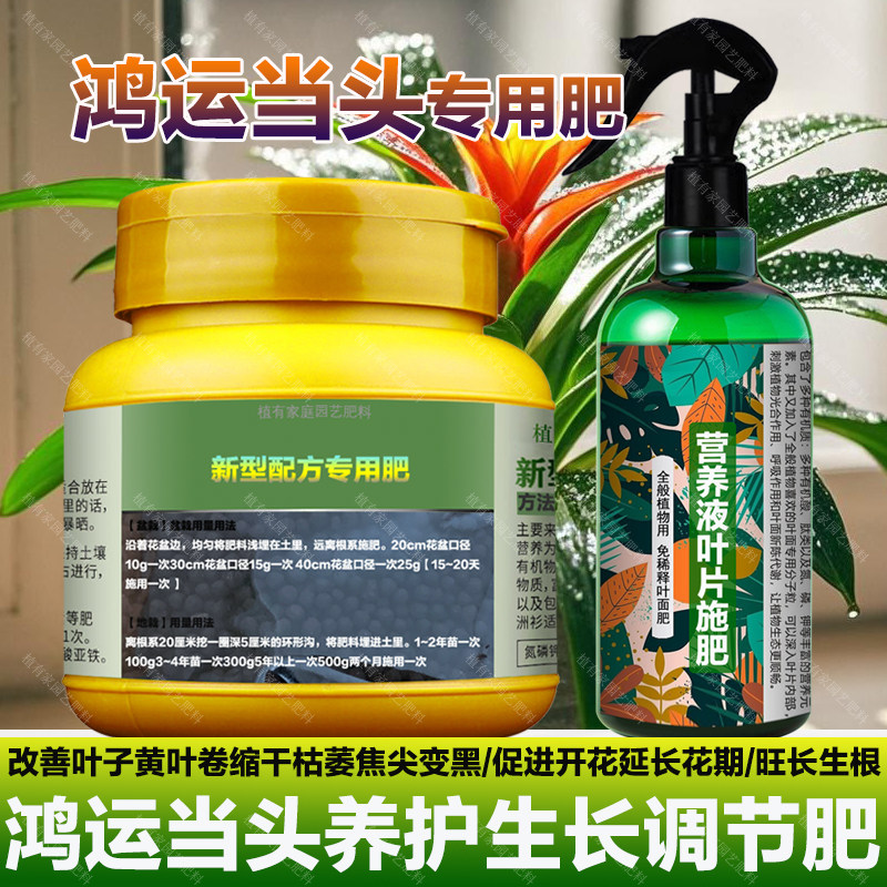 鸿运当头专用肥料养殖盆栽鸿运当头花肥专用土养护营养液叶面肥料,鲜花速递/花卉仿真/绿植园艺,家庭园艺肥料,淘宝优惠券,粉丝福利购,淘宝优惠卷