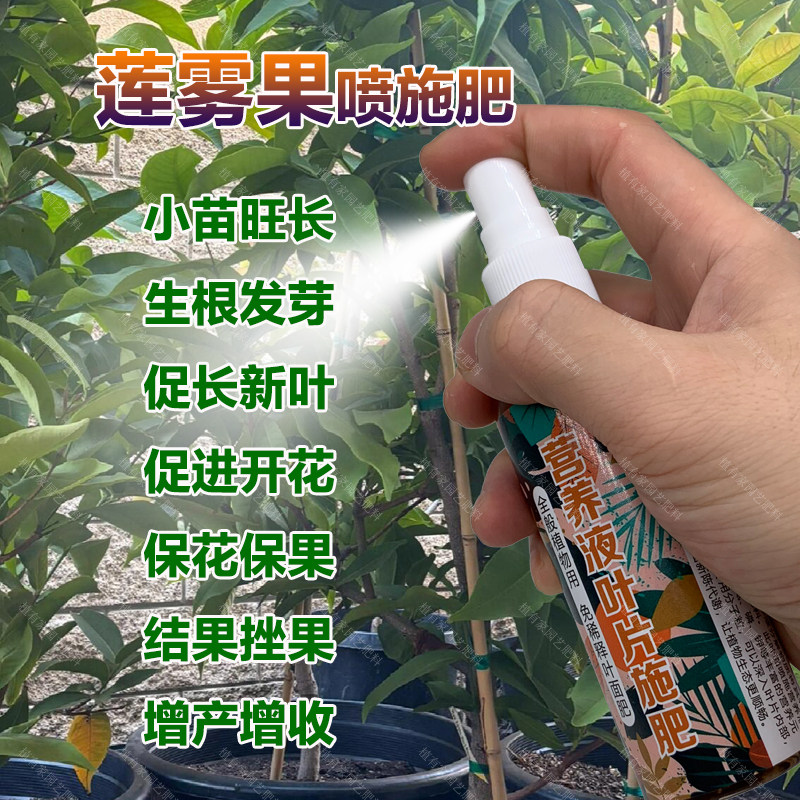 莲雾果专用肥料莲雾果树苗营养液开花保花保果结果挫果增产增收肥,鲜花速递/花卉仿真/绿植园艺,家庭园艺肥料,淘宝优惠券,粉丝福利购,淘宝优惠卷
