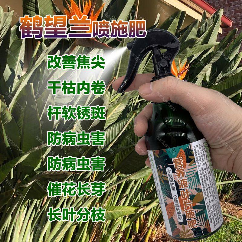 鹤望兰专用肥料盆栽植物营养液挺拔立直长新叶开花天堂鸟绿植肥料,鲜花速递/花卉仿真/绿植园艺,家庭园艺肥料,淘宝优惠券,粉丝福利购,淘宝优惠卷