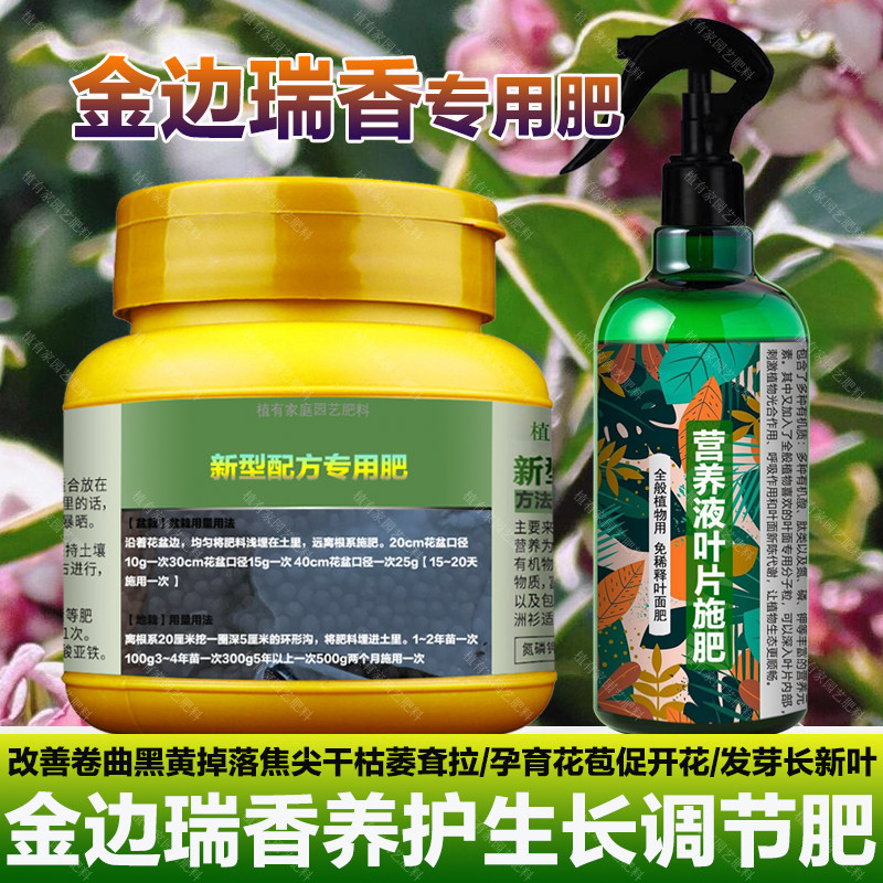 金边瑞香专用肥料土营养液卷曲黑黄掉落焦尖干枯萎软耷拉叶面肥料,鲜花速递/花卉仿真/绿植园艺,家庭园艺肥料,淘宝优惠券,粉丝福利购,淘宝优惠卷