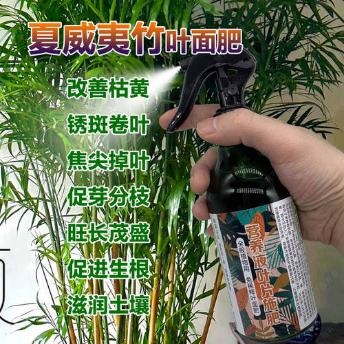 夏威夷竹专用肥料家庭盆栽有机肥料散尾葵营养液土绿植物缓释肥料