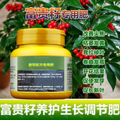 富贵子专用肥料富贵籽树营养液开花肥结果促使发芽促长新叶面肥料