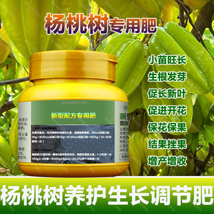 杨桃专用肥料盆栽杨桃树苗旺长生根促发新芽长新叶营养液叶面肥料