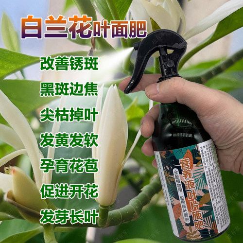 白兰花专用肥玉兰花肥料黄角兰营养液白玉兰花肥树苗开花盆栽控释