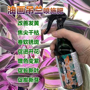 婚礼油画吊兰专用肥料土培水培营养液开花增色发新芽长新叶面肥料