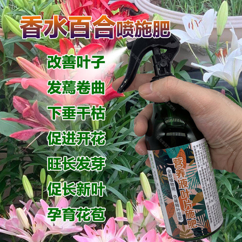 香水百合种球专用肥料盆栽植物发芽展叶营养液百合花孕育花苞肥料,鲜花速递/花卉仿真/绿植园艺,家庭园艺肥料,淘宝优惠券,粉丝福利购,淘宝优惠卷