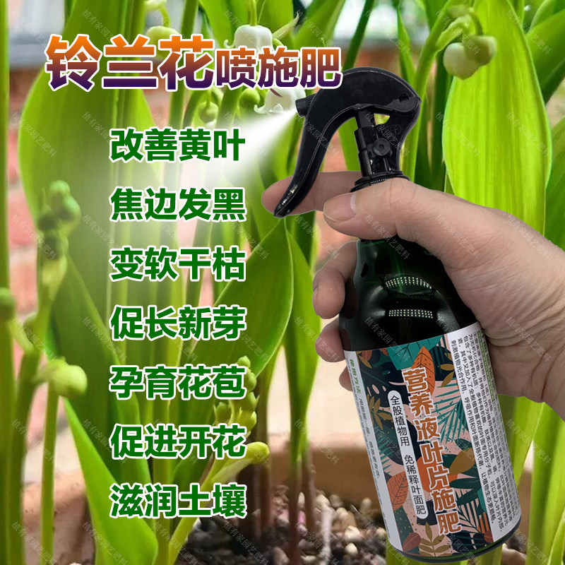 铃兰专用肥料盆栽植物促进开花肥营养液铃兰花孕育花苞喷施肥肥料,鲜花速递/花卉仿真/绿植园艺,家庭园艺肥料,淘宝优惠券,粉丝福利购,淘宝优惠卷