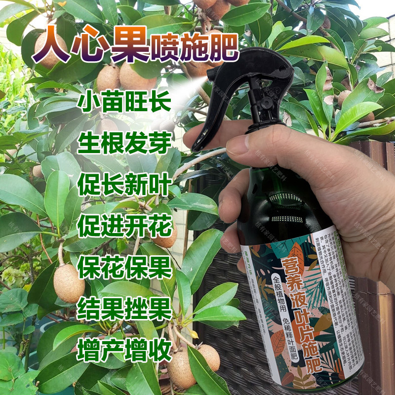 人心果专用肥料人心果树营养液喷剂有机肥盆栽种植专用土叶面肥料,鲜花速递/花卉仿真/绿植园艺,家庭园艺肥料,淘宝优惠券,粉丝福利购,淘宝优惠卷