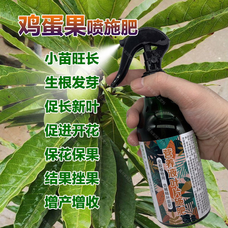 鸡蛋果专用肥料盆栽鸡蛋果树苗营养液旺长生根发芽促长新叶面肥料,鲜花速递/花卉仿真/绿植园艺,家庭园艺肥料,淘宝优惠券,粉丝福利购,淘宝优惠卷