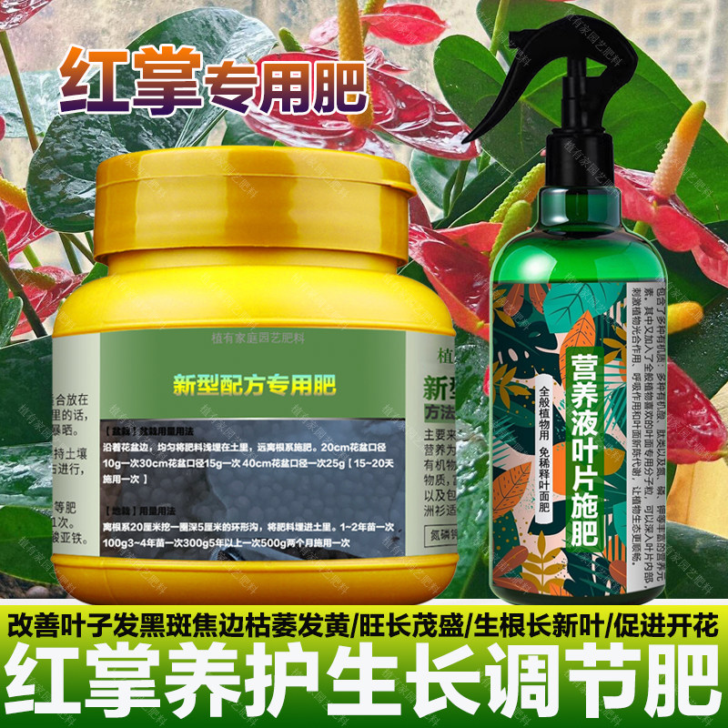 红掌专用肥料水培盆栽营养液养护绿植物边缘干枯发黑焦边斑叶肥料,鲜花速递/花卉仿真/绿植园艺,家庭园艺肥料,淘宝优惠券,粉丝福利购,淘宝优惠卷