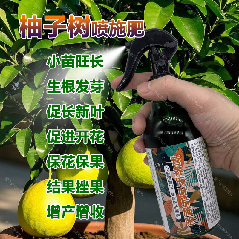 柚子树专用肥料盆栽柚子果旺长生根促发新芽长新叶营养液叶面肥料,鲜花速递/花卉仿真/绿植园艺,家庭园艺肥料,淘宝优惠券,粉丝福利购,淘宝优惠卷
