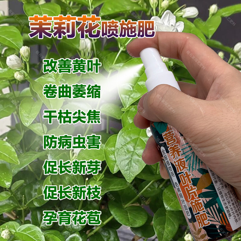 茉莉花专用肥料开花肥盆栽营养液茉莉花树老桩小苗专用土叶面肥料,鲜花速递/花卉仿真/绿植园艺,家庭园艺肥料,淘宝优惠券,粉丝福利购,淘宝优惠卷