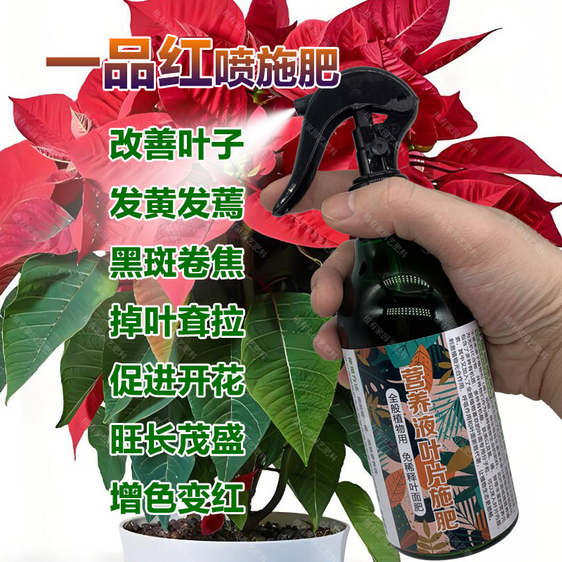 一品红专用肥料盆栽一品红花营养液开花旺长茂盛增色变红叶面肥料,鲜花速递/花卉仿真/绿植园艺,家庭园艺肥料,淘宝优惠券,粉丝福利购,淘宝优惠卷
