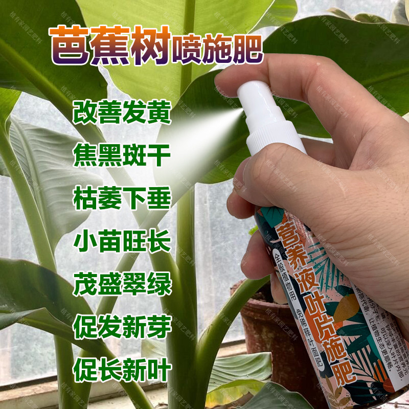 芭蕉专用肥料盆栽绿植芭蕉树苗营养液叶黄焦黑斑干桔萎下垂化肥料,鲜花速递/花卉仿真/绿植园艺,家庭园艺肥料,淘宝优惠券,粉丝福利购,淘宝优惠卷
