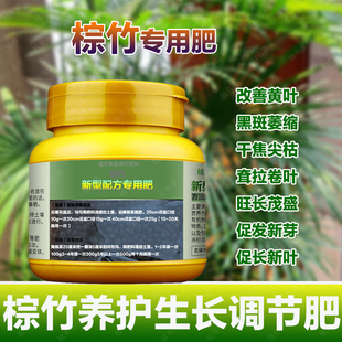 金山棕竹专用肥料花盆栽营养液叶子发黄干枯萎缩焦黑斑锈斑叶面肥