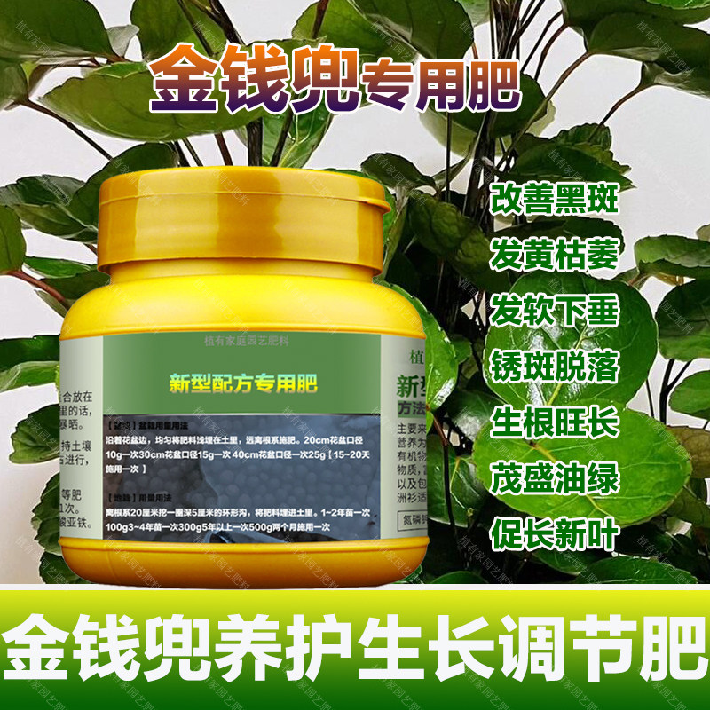 金钱兜专用肥料盆栽生根室内植物营养液长叶子圆叶福禄桐花卉肥料,鲜花速递/花卉仿真/绿植园艺,家庭园艺肥料,淘宝优惠券,粉丝福利购,淘宝优惠卷