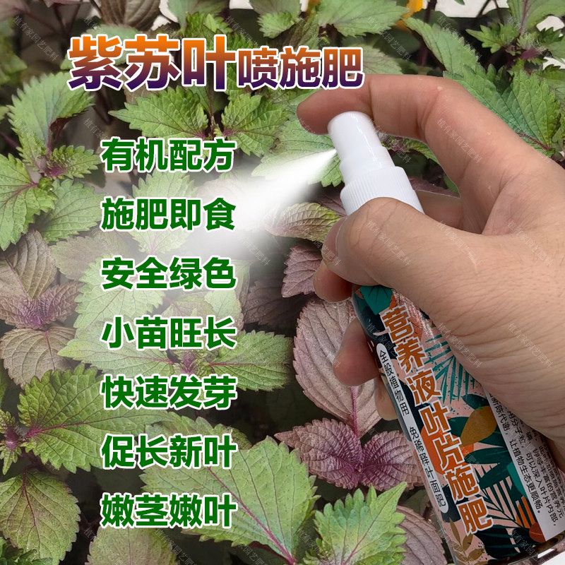 紫苏叶专用肥料养殖养护盆栽种植四季用专用土营养液喷剂叶面肥料,鲜花速递/花卉仿真/绿植园艺,家庭园艺肥料,淘宝优惠券,粉丝福利购,淘宝优惠卷